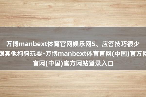 万博manbext体育官网娱乐网5、应答技巧很少带狗狗外出跟其他狗狗玩耍-万博manbext体育官网(中国)官方网站登录入口