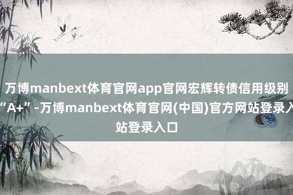 万博manbext体育官网app官网宏辉转债信用级别为“A+”-万博manbext体育官网(中国)官方网站登录入口