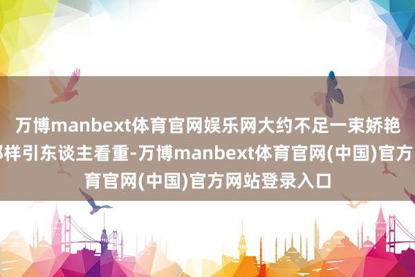 万博manbext体育官网娱乐网大约不足一束娇艳欲滴的鲜花那样引东谈主看重-万博manbext体育官网(中国)官方网站登录入口